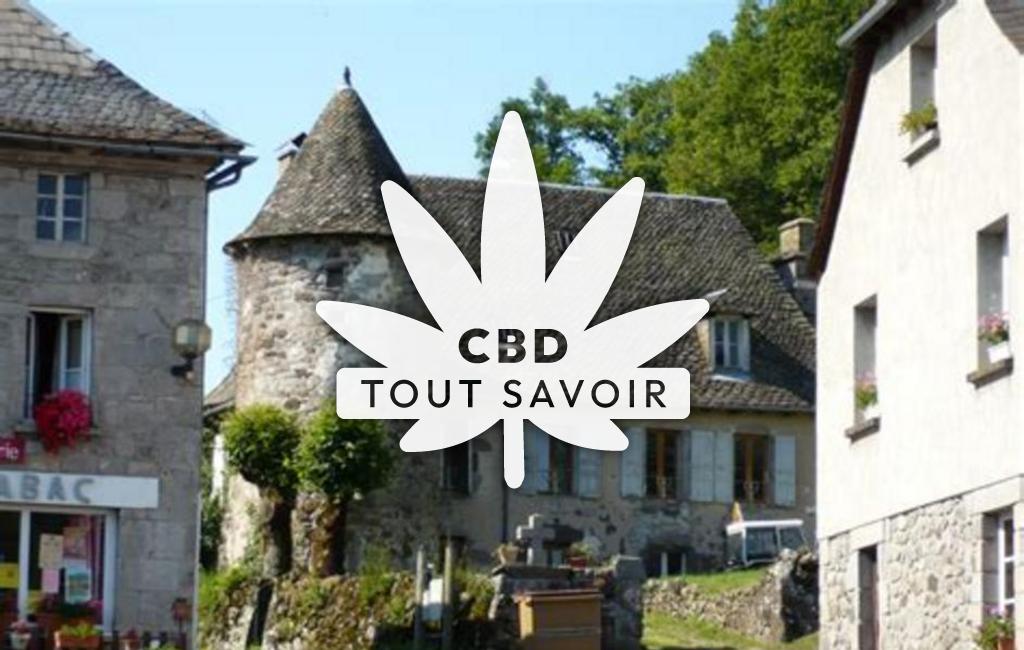 Village à Jou-sous-Monjou avec feuille Cannabis CBD