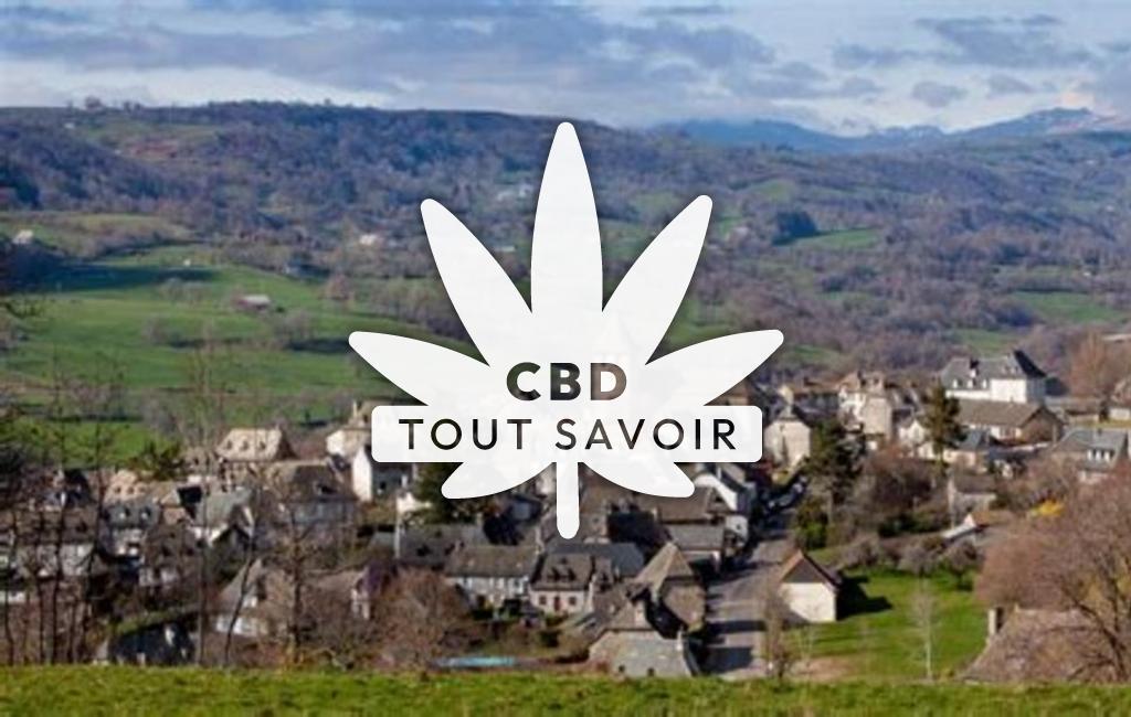 Village à Raulhac avec feuille Cannabis CBD
