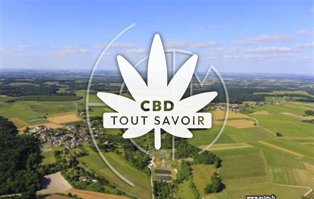 Village à Louzac-Saint-Andre avec feuille Cannabis CBD