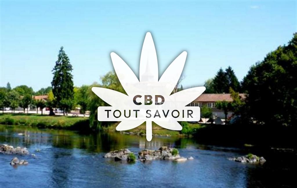 Village à Exideuil-sur-Vienne avec feuille Cannabis CBD