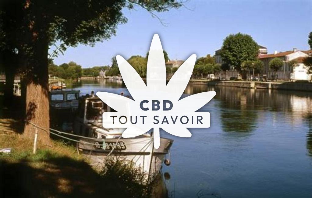 Village à Mainxe-Gondeville avec feuille Cannabis CBD