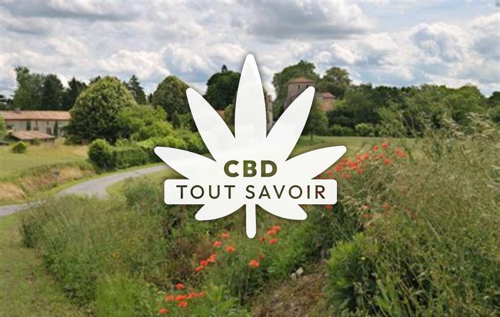 Village à Brie-sous-Chalais avec feuille Cannabis CBD