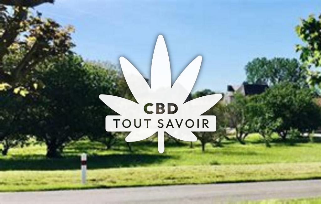 Village à Val-de-Bonnieure avec feuille Cannabis CBD