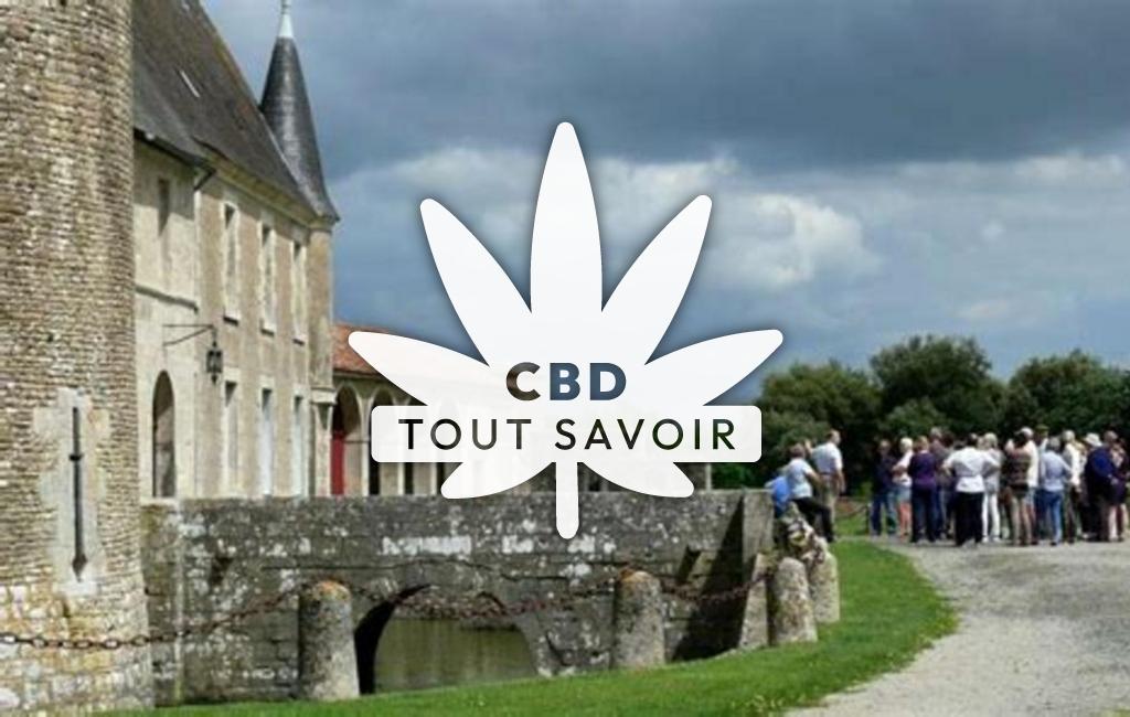 Village à Paizay-Naudouin-Embourie avec feuille Cannabis CBD