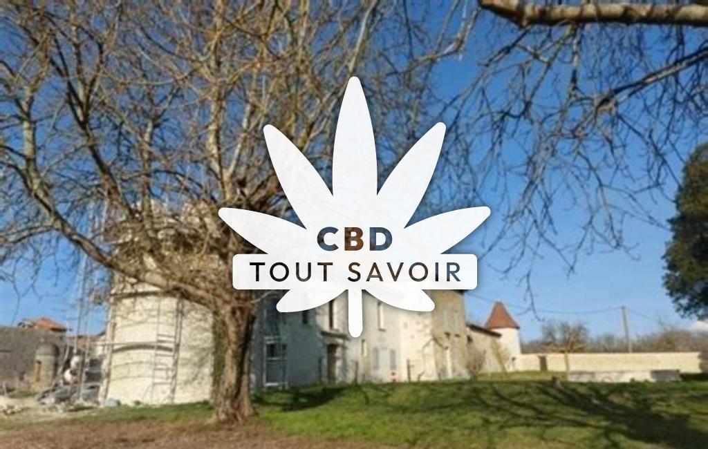 Village à Champagne-Vigny avec feuille Cannabis CBD