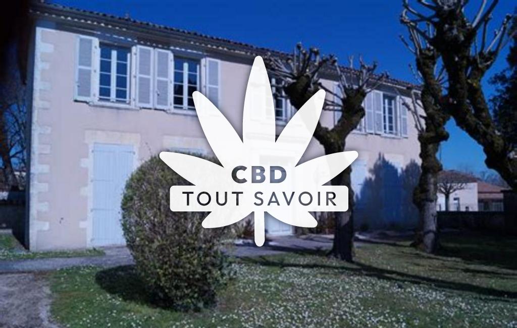 Village à Saint-Palais-du-Ne avec feuille Cannabis CBD
