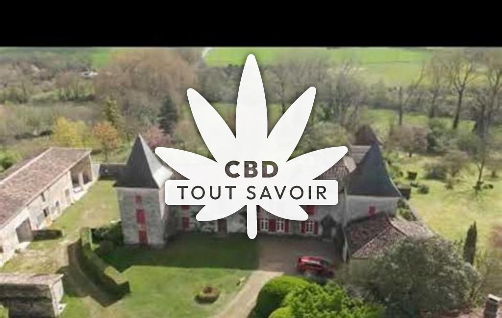 Village à Blanzaguet-Saint-Cybard avec feuille Cannabis CBD