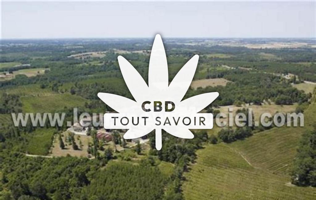 Village à Touverac avec feuille Cannabis CBD