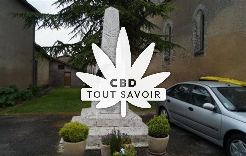 Village à Palluaud avec feuille Cannabis CBD