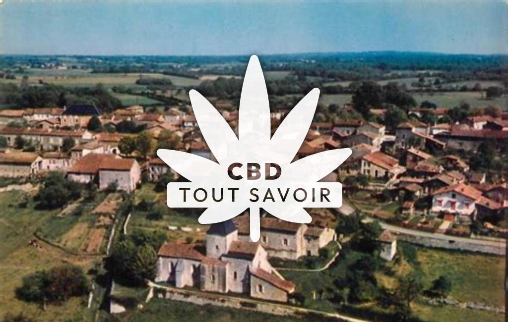 Village à Beaulieu-sur-Sonnette avec feuille Cannabis CBD