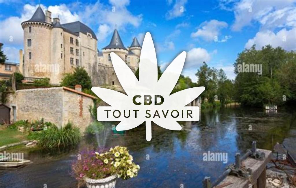 Village à Verteuil-sur-Charente avec feuille Cannabis CBD