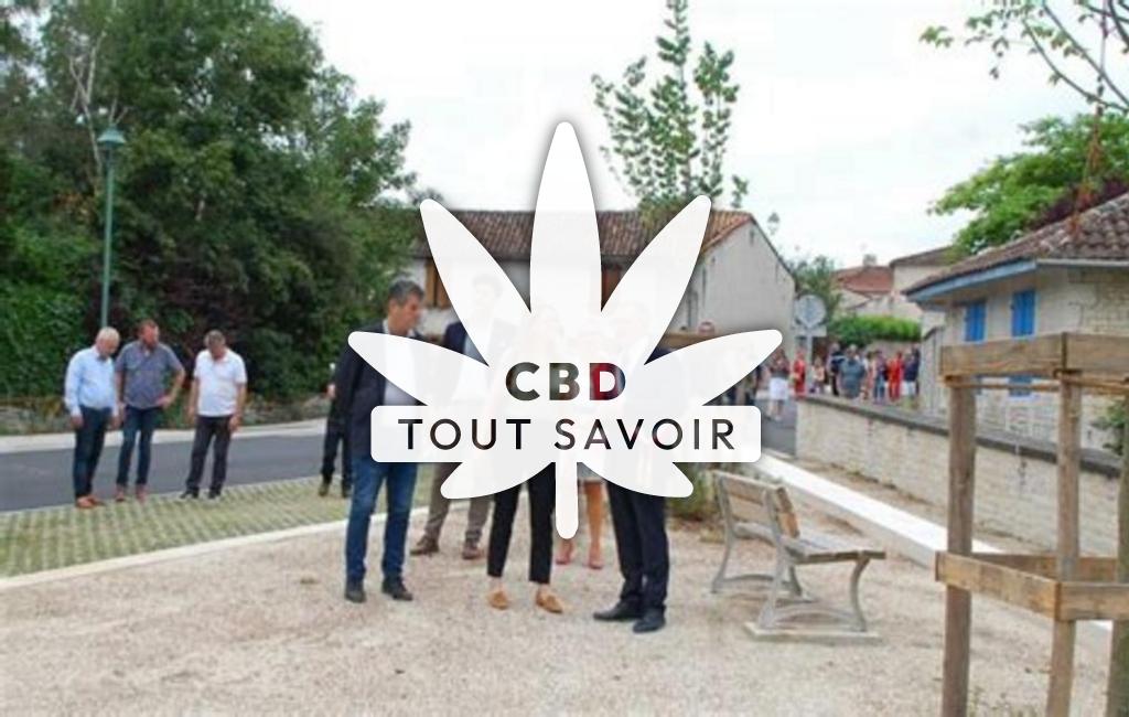 Village à Aussac-Vadalle avec feuille Cannabis CBD
