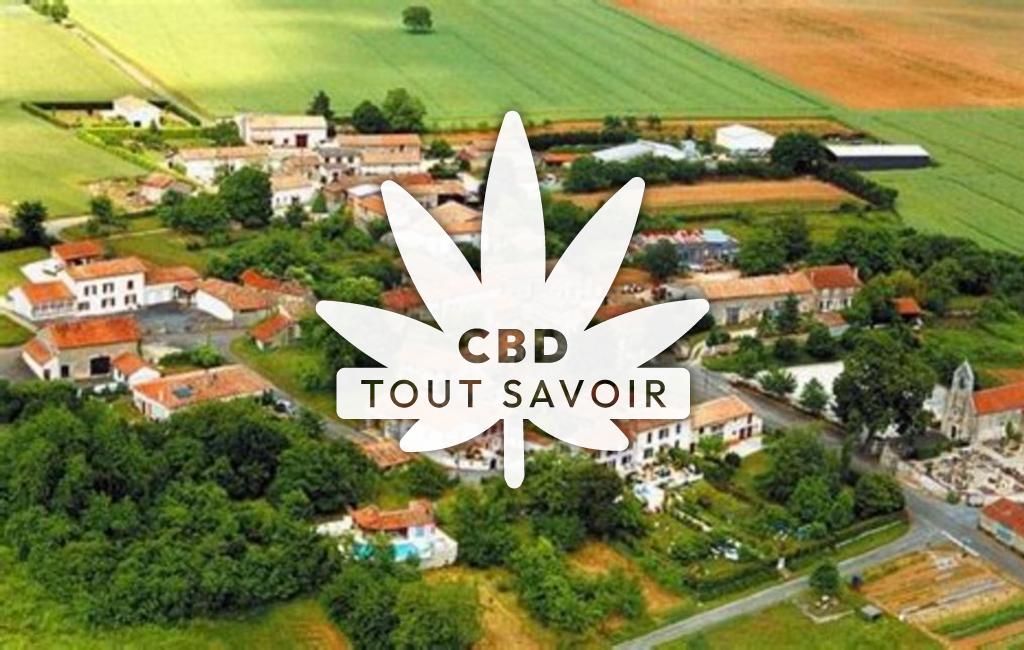 Village à Saint-Martin-du-Clocher avec feuille Cannabis CBD