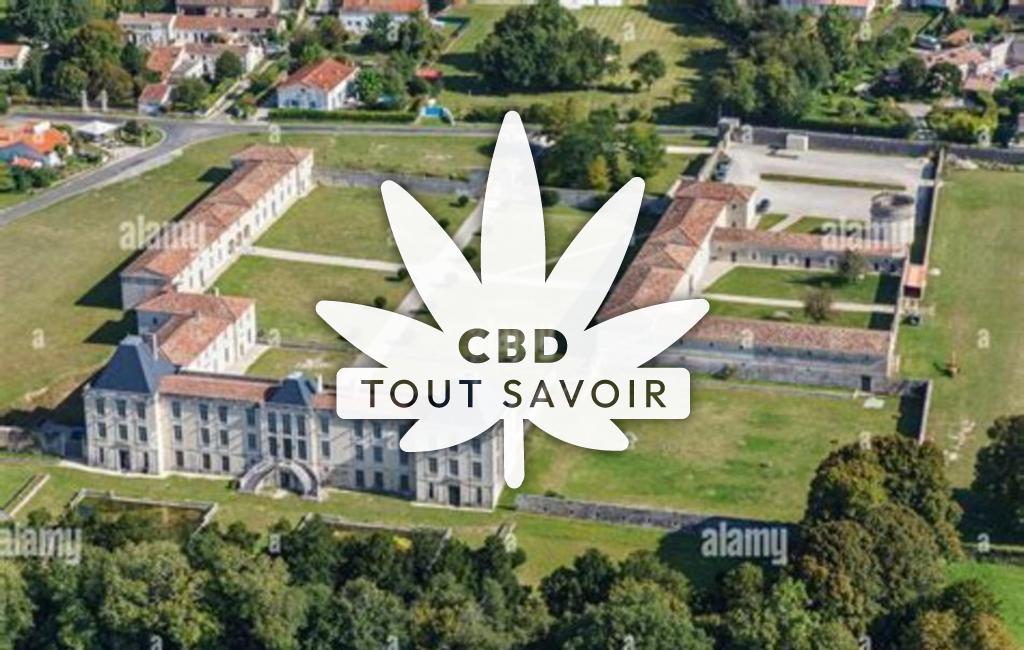 Village à Le-Douhet avec feuille Cannabis CBD