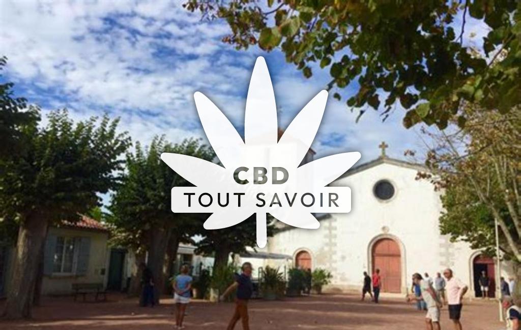 Village à Loix avec feuille Cannabis CBD