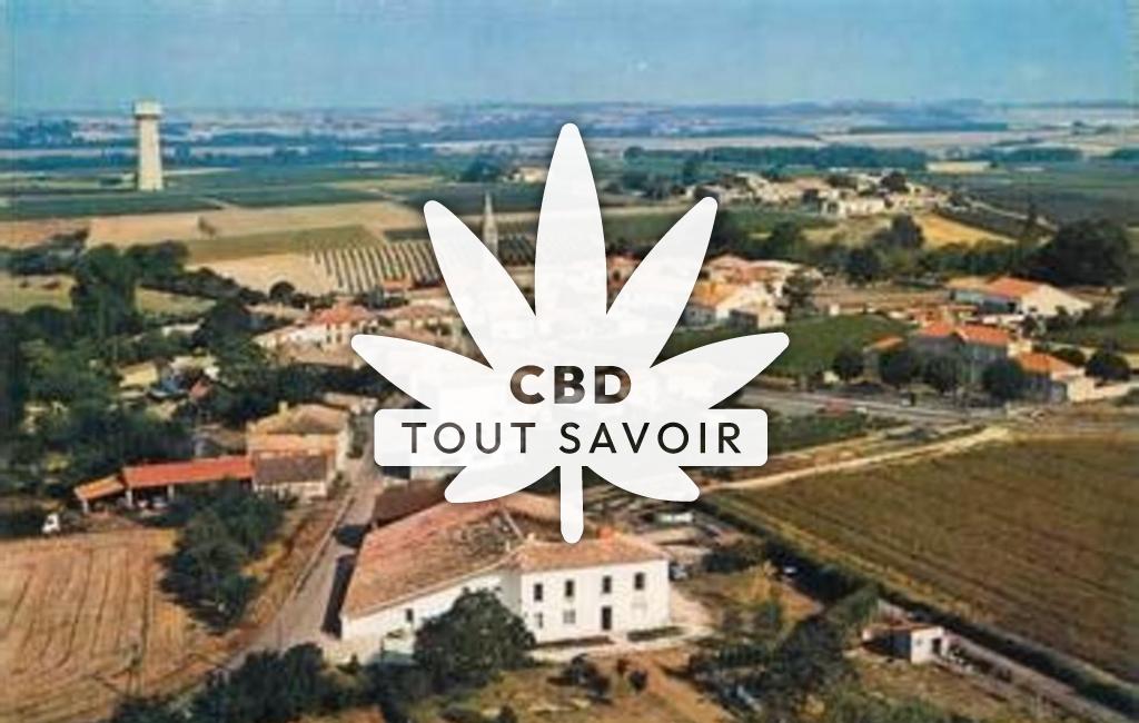Village à Chenac-Saint-Seurin-D'Uzet avec feuille Cannabis CBD
