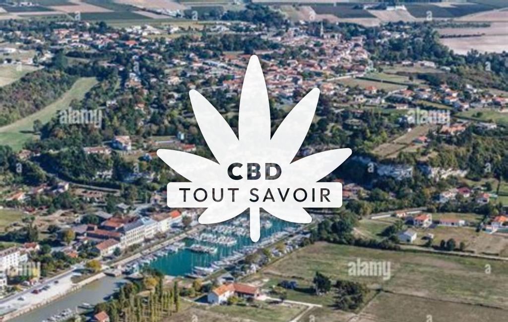 Village à Mortagne-sur-Gironde avec feuille Cannabis CBD