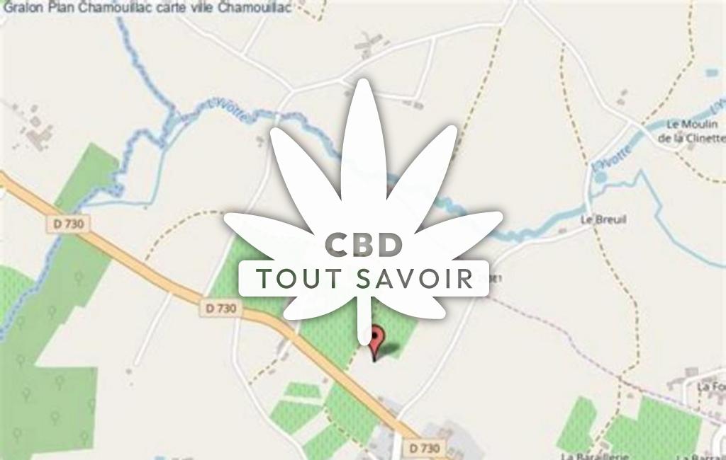 Village à Chamouillac avec feuille Cannabis CBD