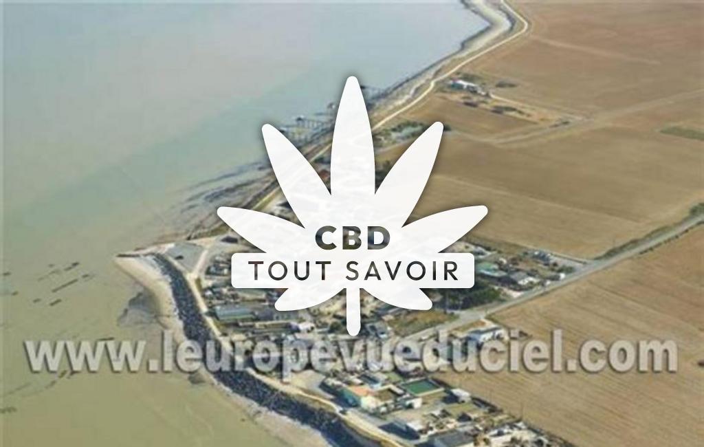 Village à Esnandes avec feuille Cannabis CBD