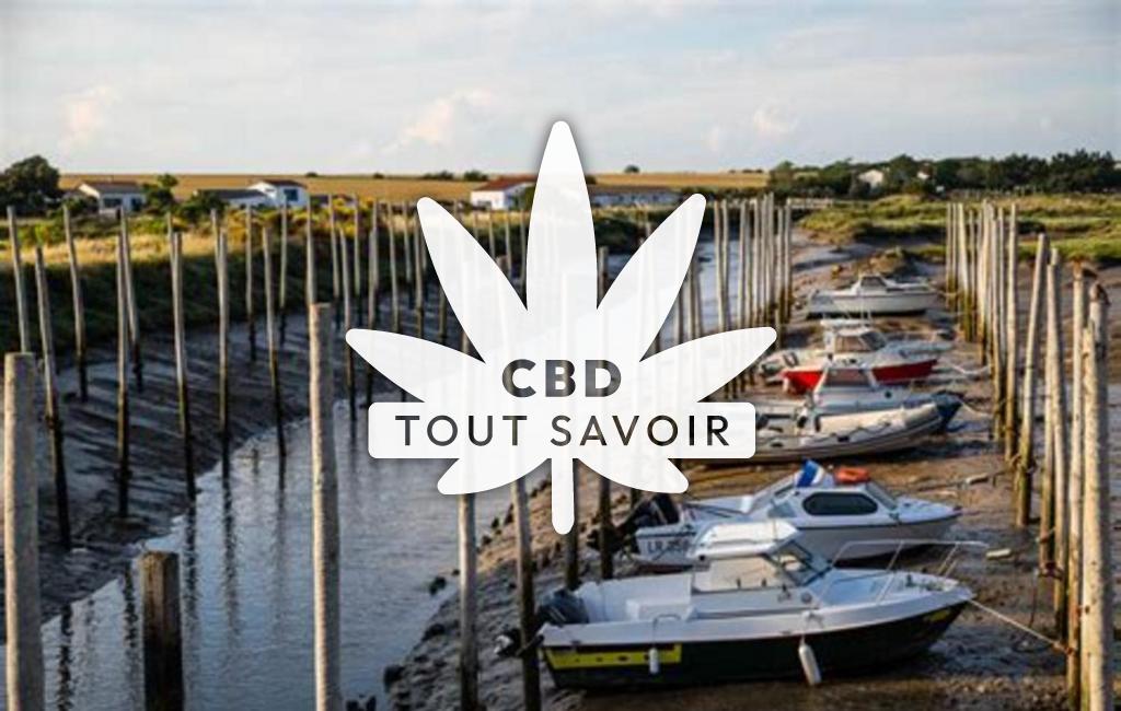 Village à L'Houmeau avec feuille Cannabis CBD
