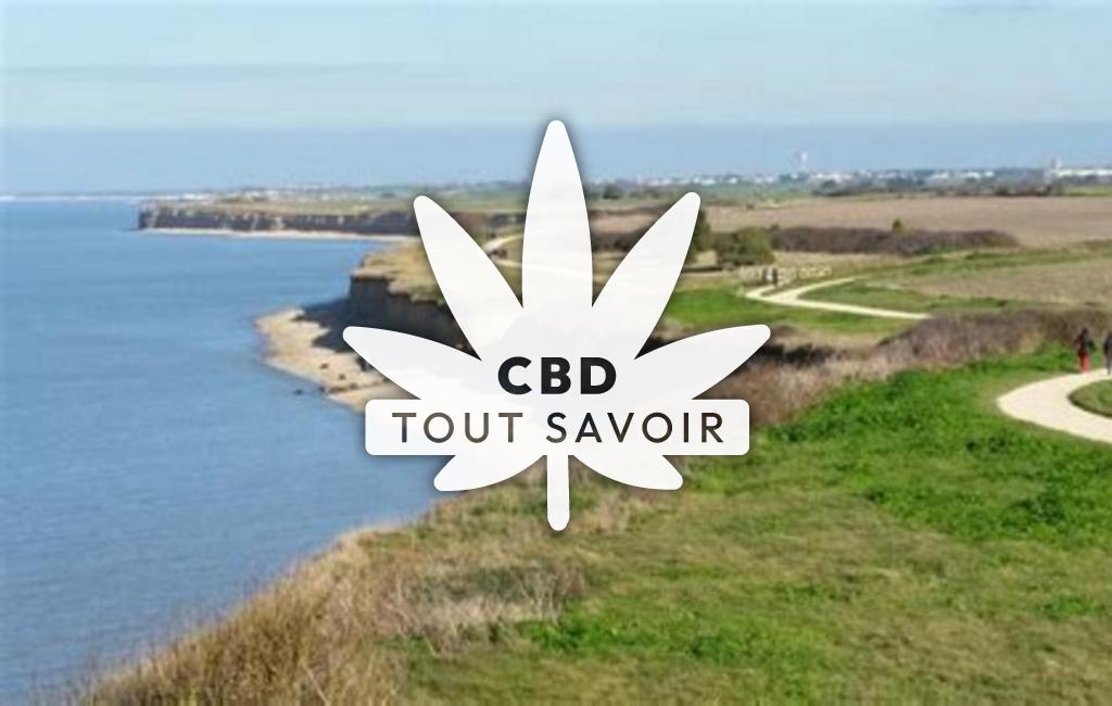 Village à Nieul-sur-Mer avec feuille Cannabis CBD