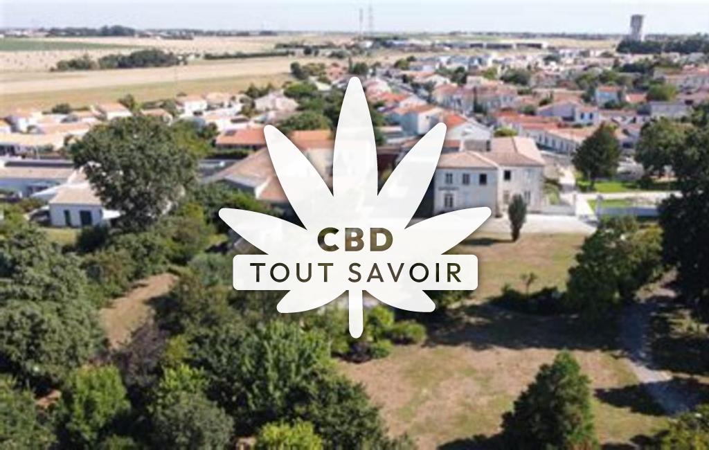 Village à Puilboreau avec feuille Cannabis CBD