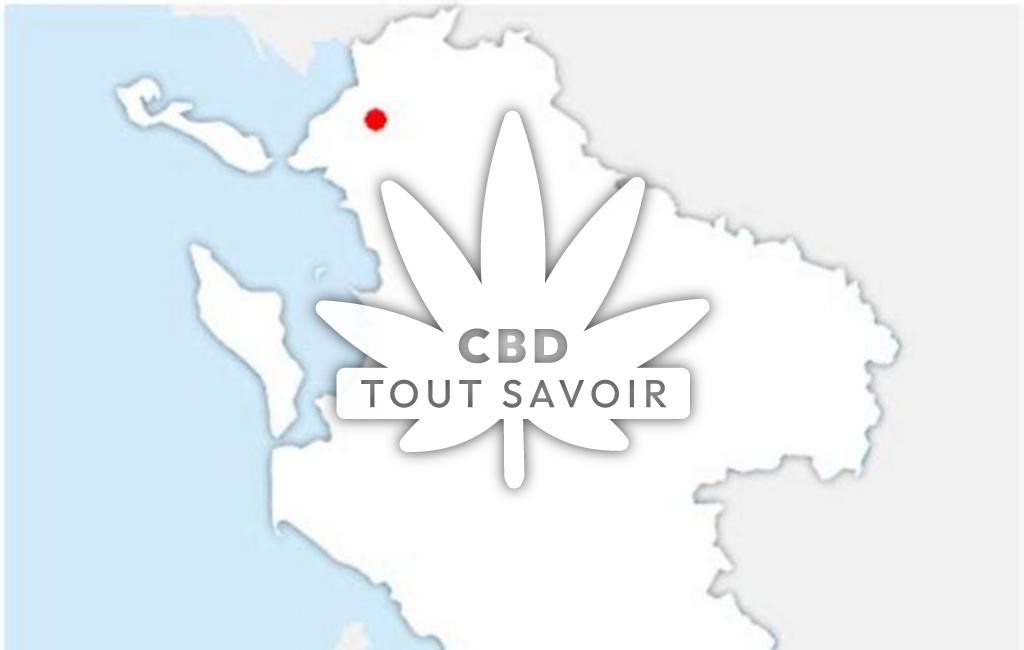 Village à Saint-Xandre avec feuille Cannabis CBD