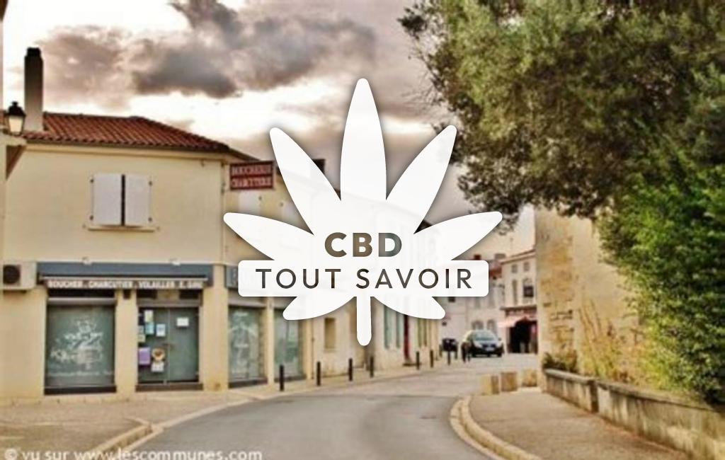 Village à Dompierre-sur-Mer avec feuille Cannabis CBD