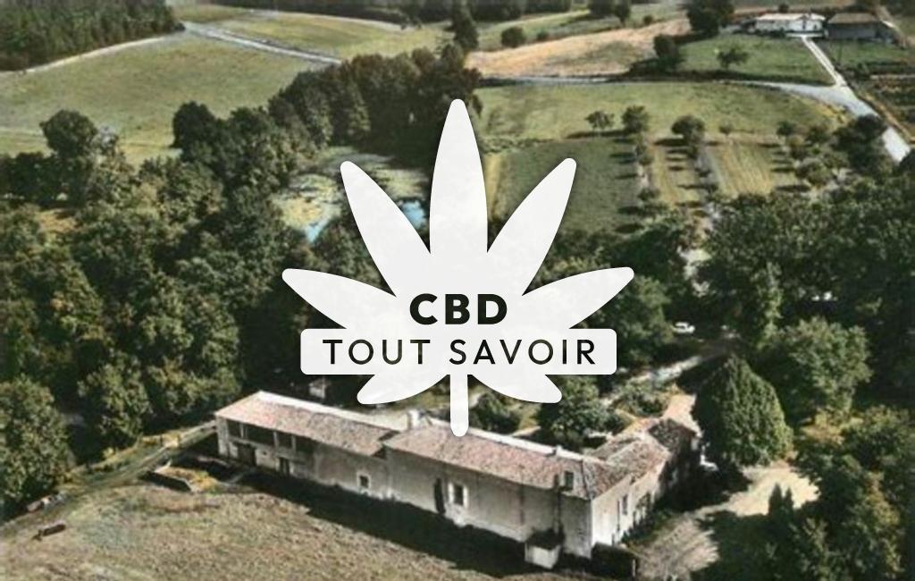 Village à Boisredon avec feuille Cannabis CBD