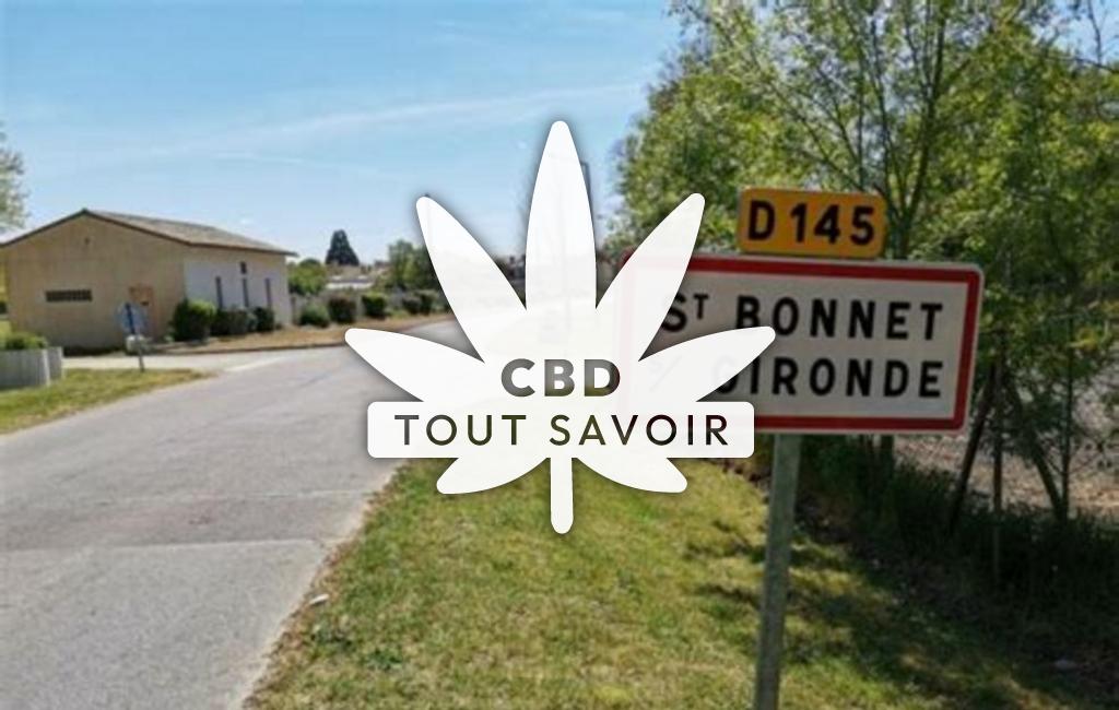 Village à Saint-Bonnet-sur-Gironde avec feuille Cannabis CBD
