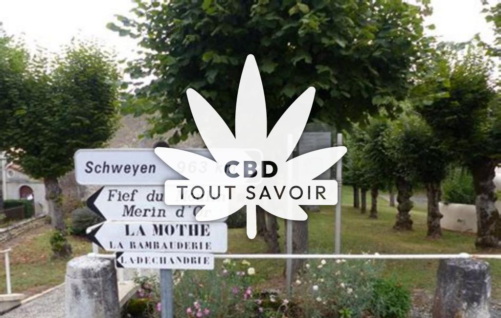 Village à Saint-Sorlin-de-Conac avec feuille Cannabis CBD