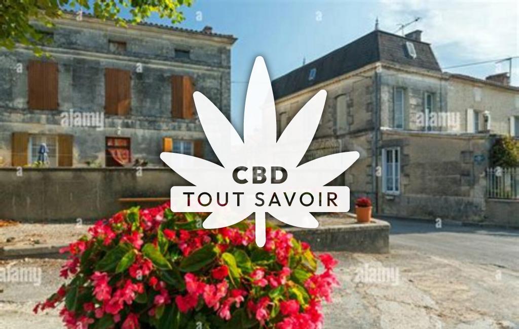 Village à Haimps avec feuille Cannabis CBD