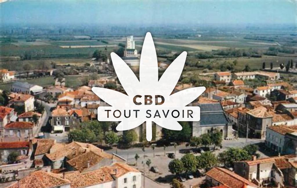 Village à Courcon avec feuille Cannabis CBD