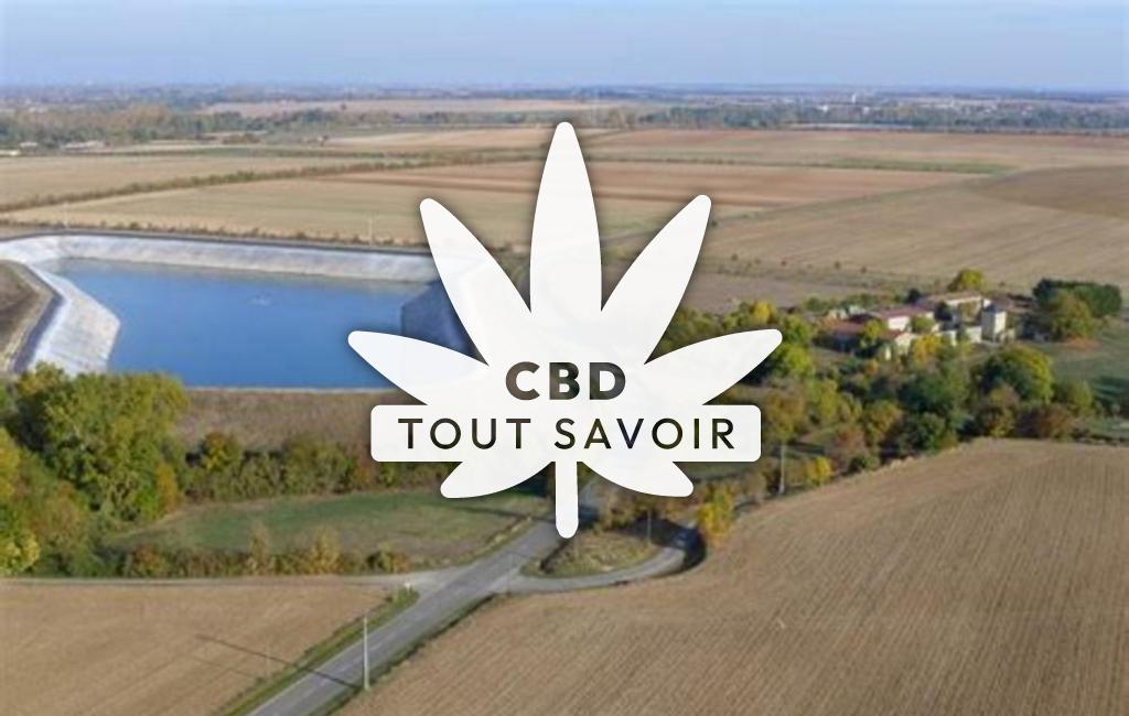 Village à Cramchaban avec feuille Cannabis CBD