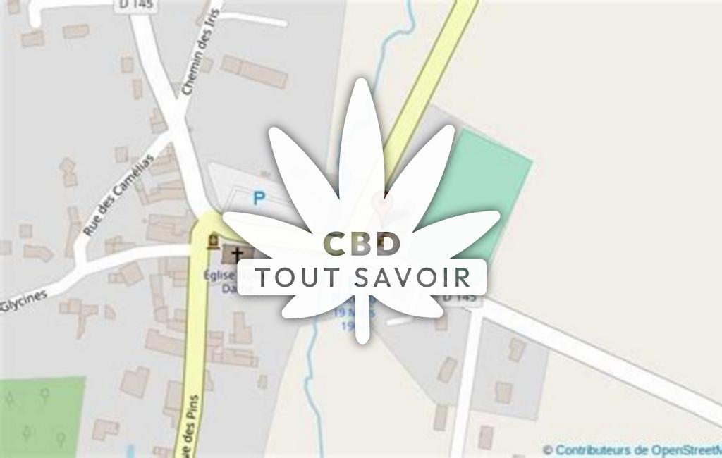 Village à Bedenac avec feuille Cannabis CBD
