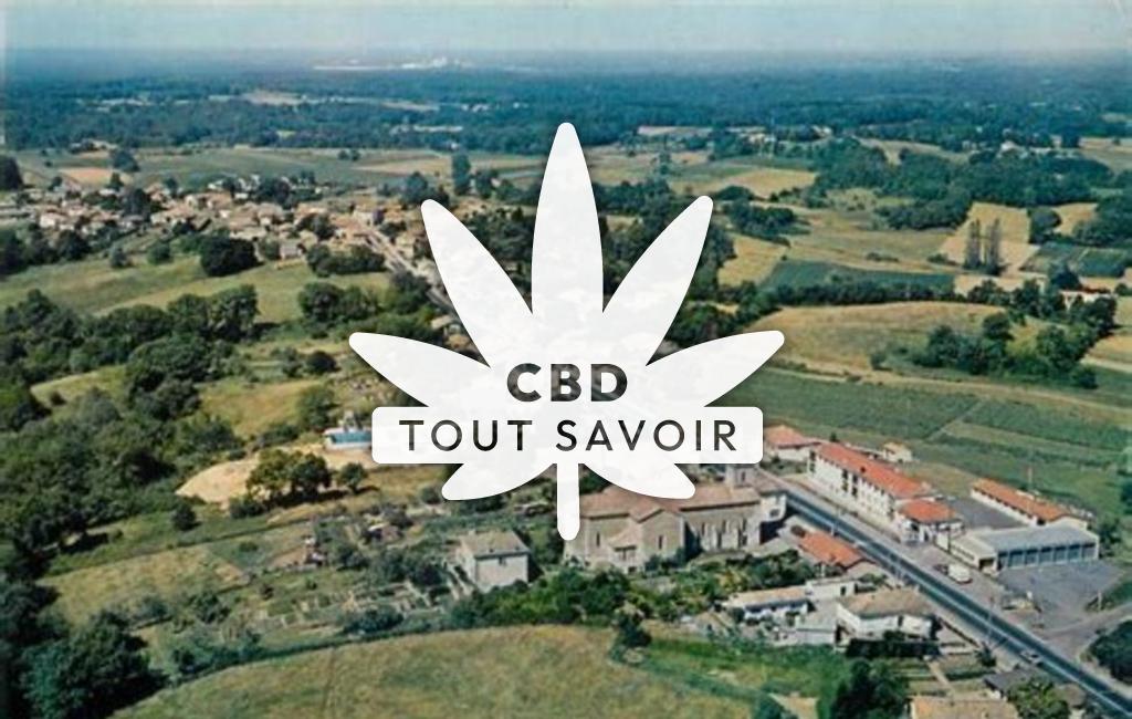 Village à Montlieu-la-Garde avec feuille Cannabis CBD