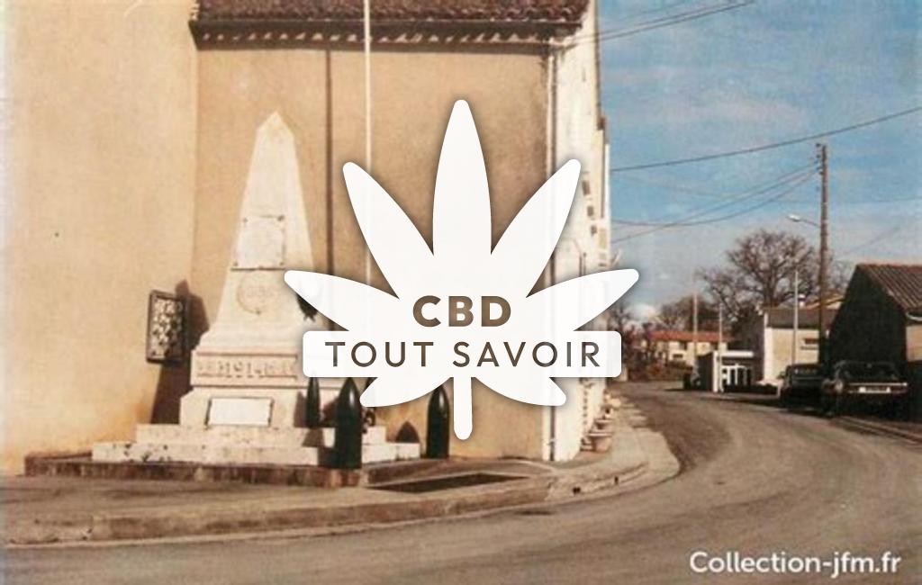Village à Orignolles avec feuille Cannabis CBD