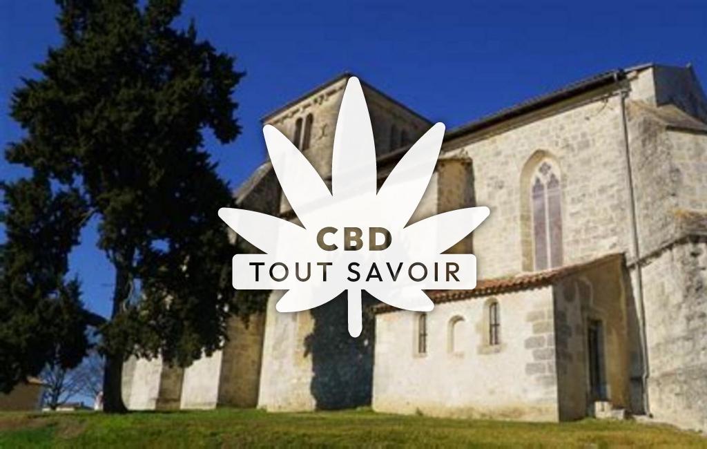 Village à Saint-Palais-de-Negrignac avec feuille Cannabis CBD