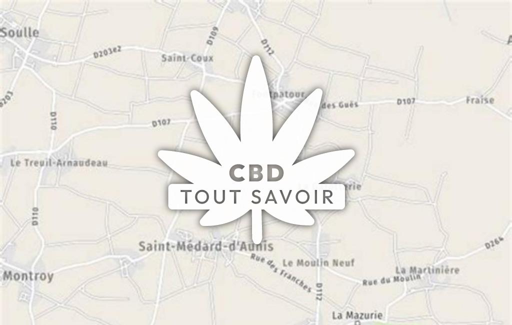 Village à Saint-Medard-D'Aunis avec feuille Cannabis CBD
