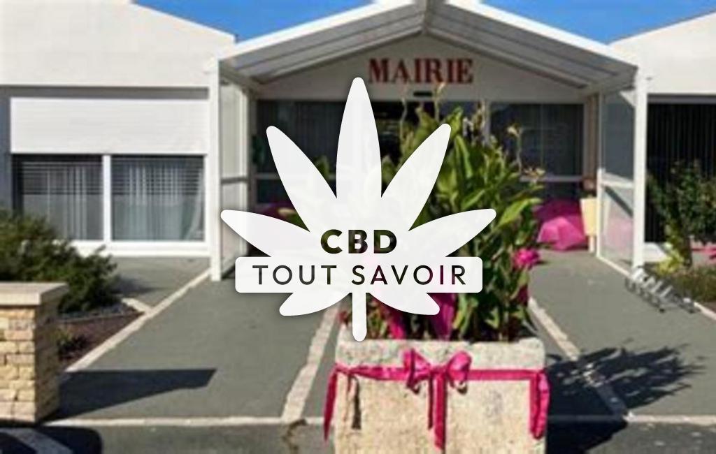 Village à Saint-Ouen-D'Aunis avec feuille Cannabis CBD