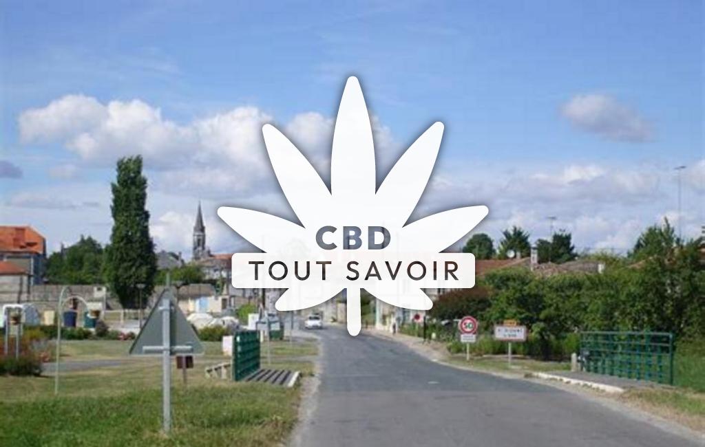 Village à Saint-Dizant-du-Gua avec feuille Cannabis CBD