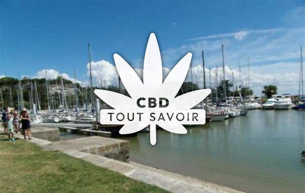 Village à Saint-Fort-sur-Gironde avec feuille Cannabis CBD