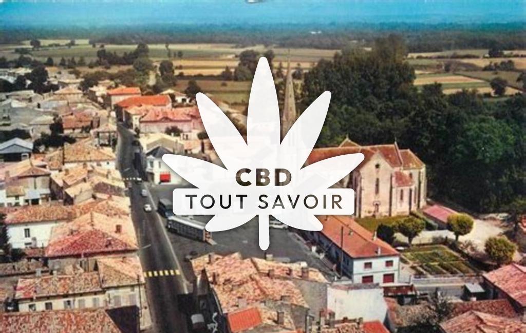 Village à Saint-Genis-de-Saintonge avec feuille Cannabis CBD