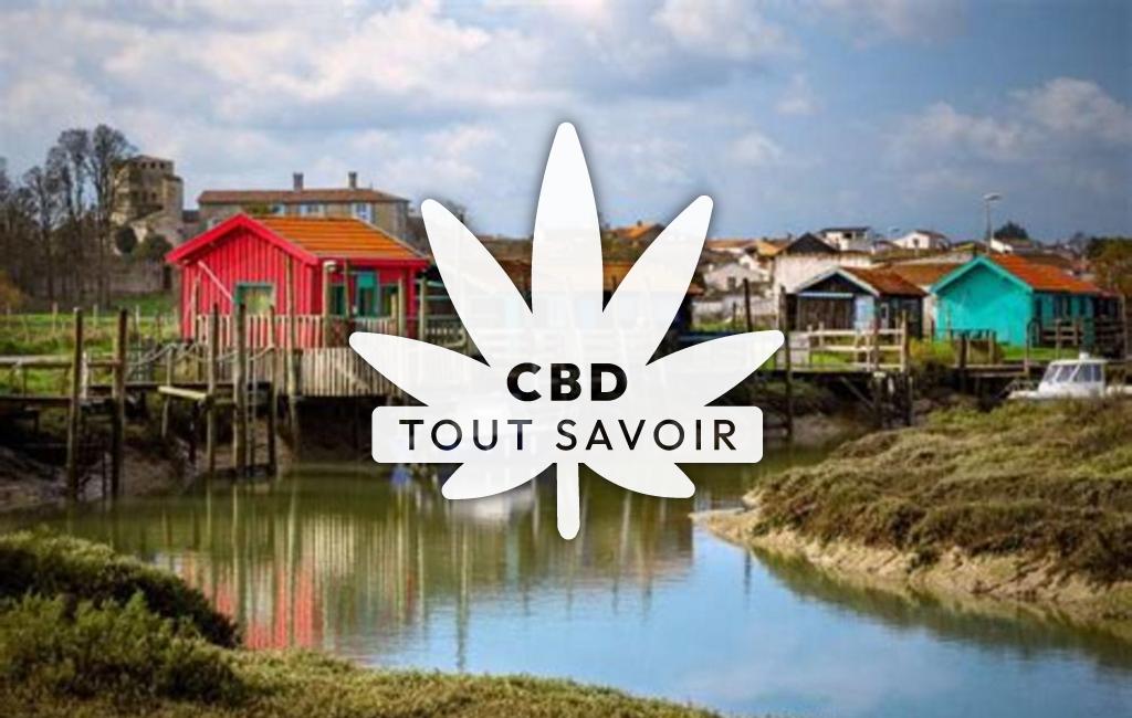 Village à Saint-Germain-du-Seudre avec feuille Cannabis CBD
