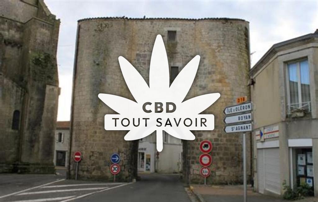 Village à Pont-l'Abbe-D'Arnoult avec feuille Cannabis CBD