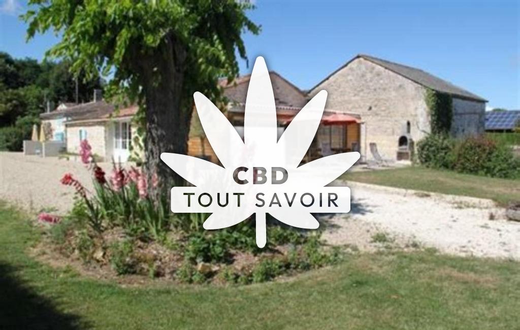 Village à Saint-Simon-de-Pellouaille avec feuille Cannabis CBD