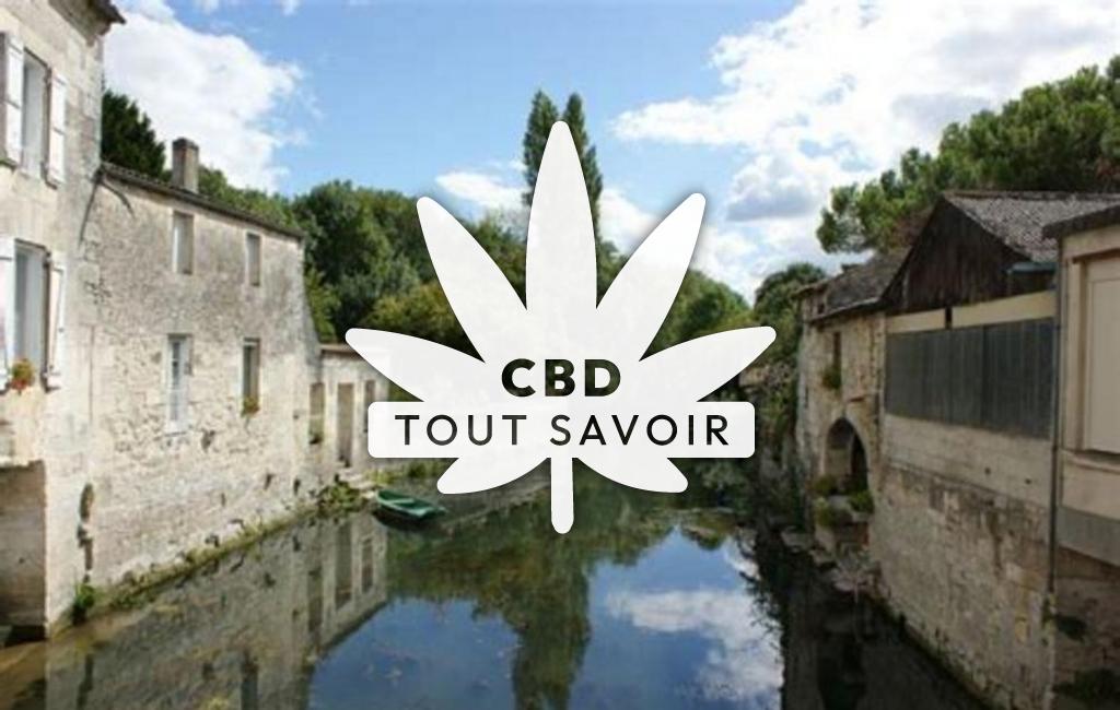 Village à Villars-en-Pons avec feuille Cannabis CBD