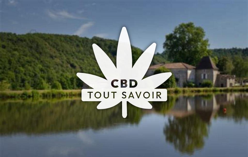 Village à Chambon avec feuille Cannabis CBD