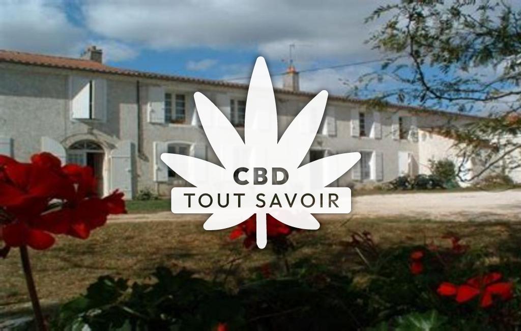 Village à Landrais avec feuille Cannabis CBD