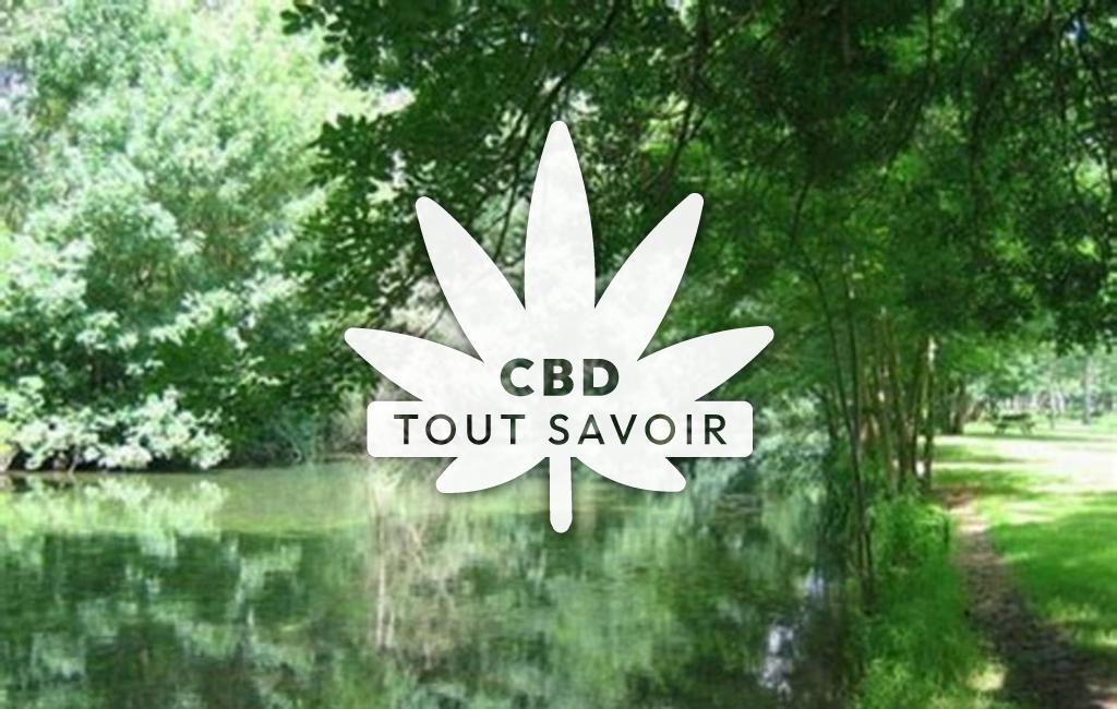 Village à Saint-Severin-sur-Boutonne avec feuille Cannabis CBD